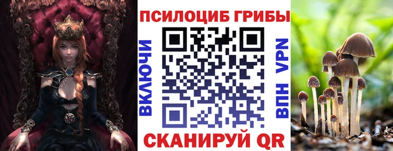 Галлюциногенные грибы Cubensis  где можно купить наркотик  Рудня 
